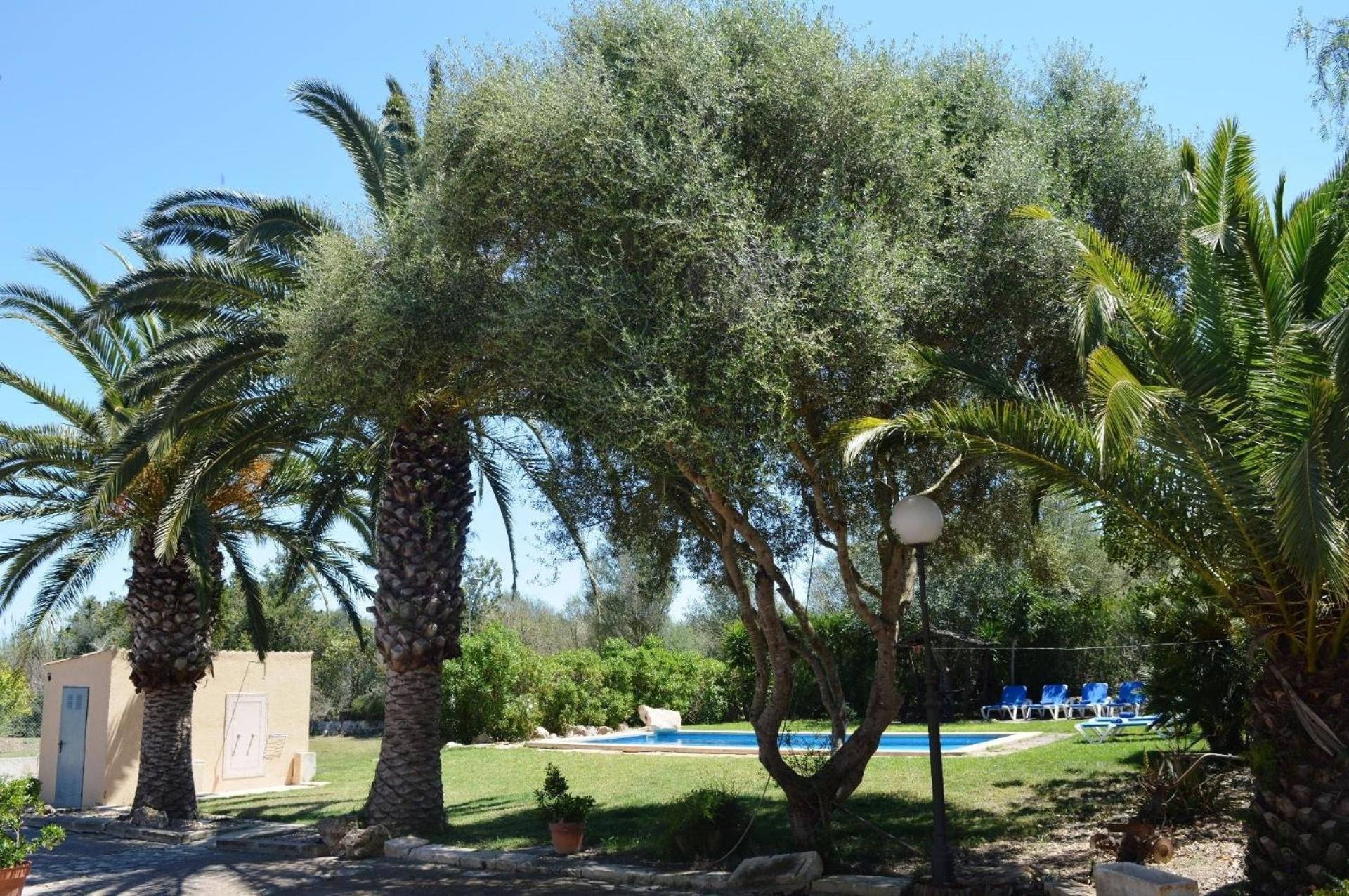 Es Garballons, Im Mallorquinischen Stil, Umgeben Von *